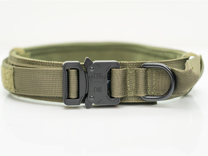 Colliers en nylon pour chiens de grande et moyenne taille